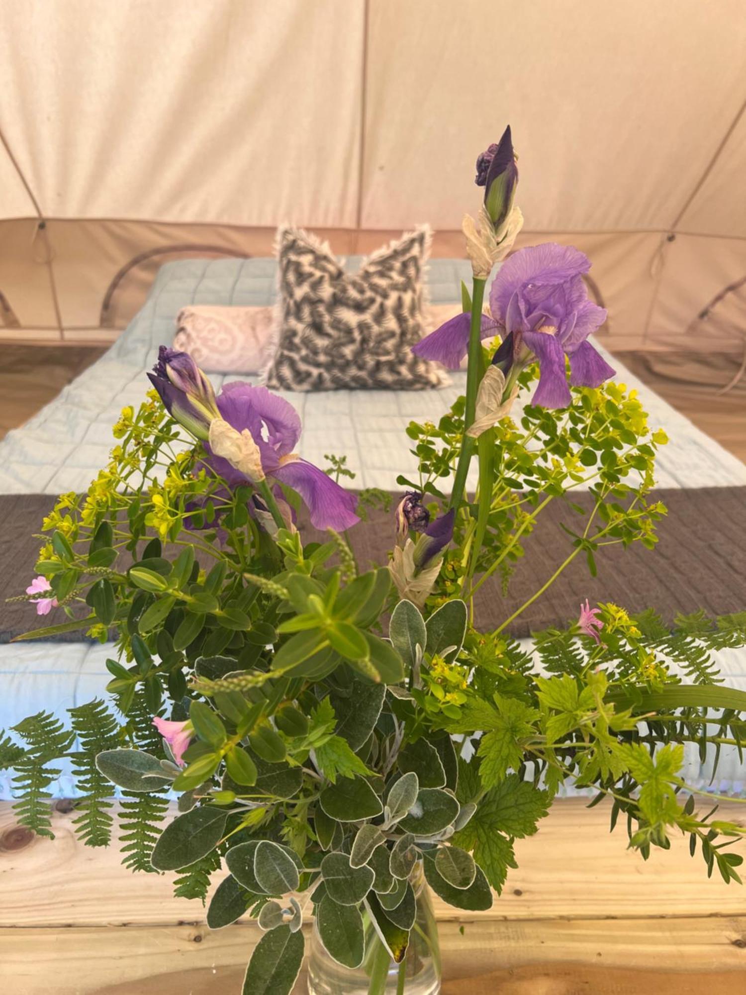 Bluebell Tent At Ballyward Croft Ardkeen Exterior foto